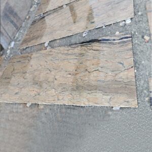 Parada Gold Granite Cutter Slabs Manufacturer & Exporter in India